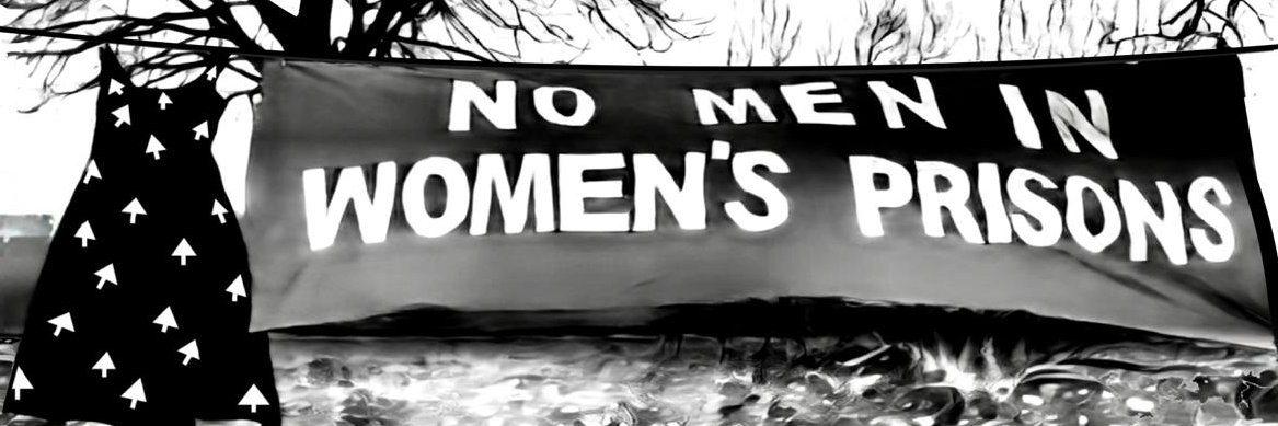No Men in Women's Prisons's banner