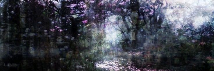 ☣︎ muffin !! 🧁 banner