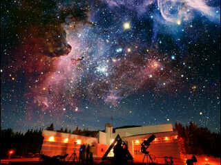 Patrick Star PopPunk banner