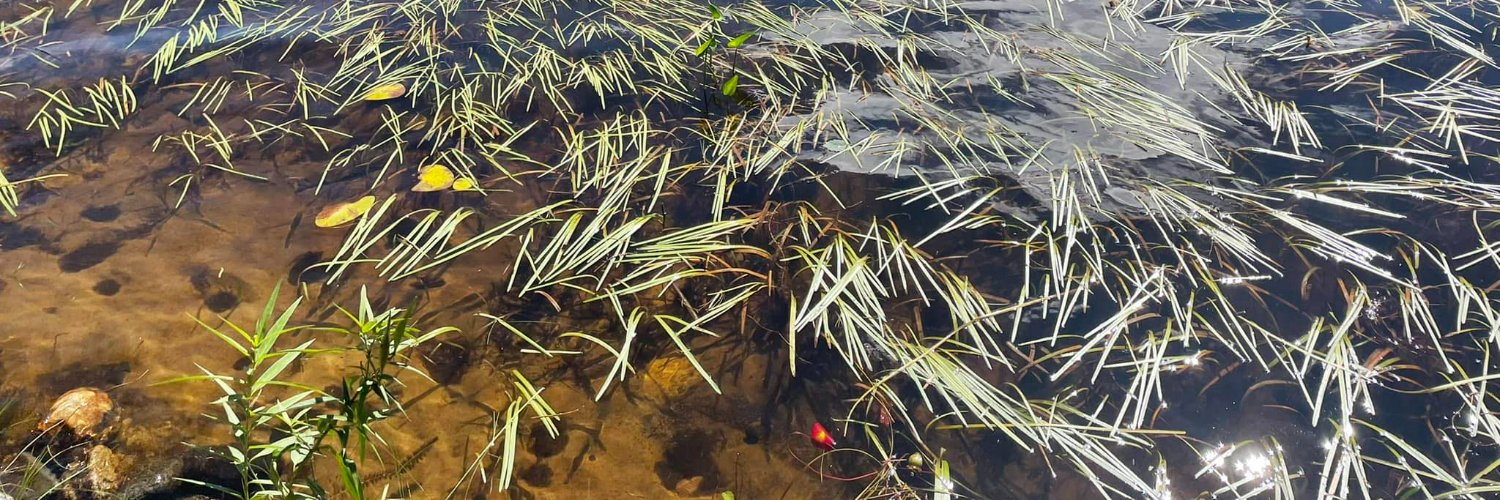 WorldRenowned banner