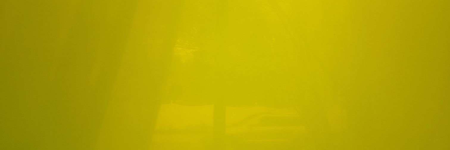 EliandraMclovin's profile banner image