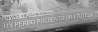 NO banner