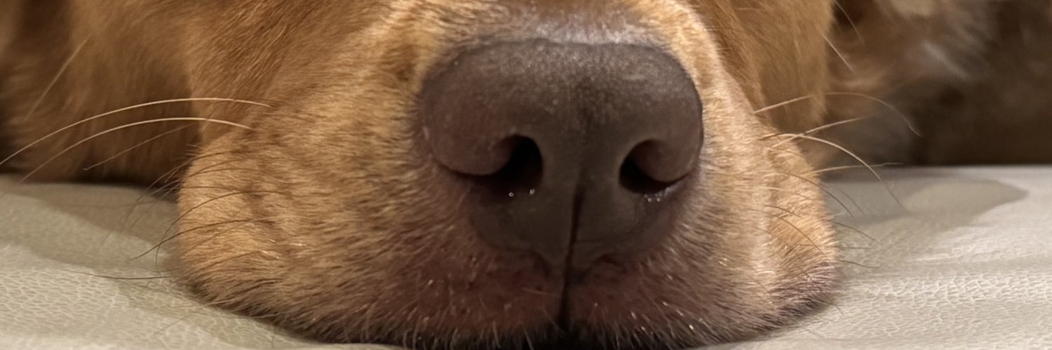 Winston Wineberg II banner