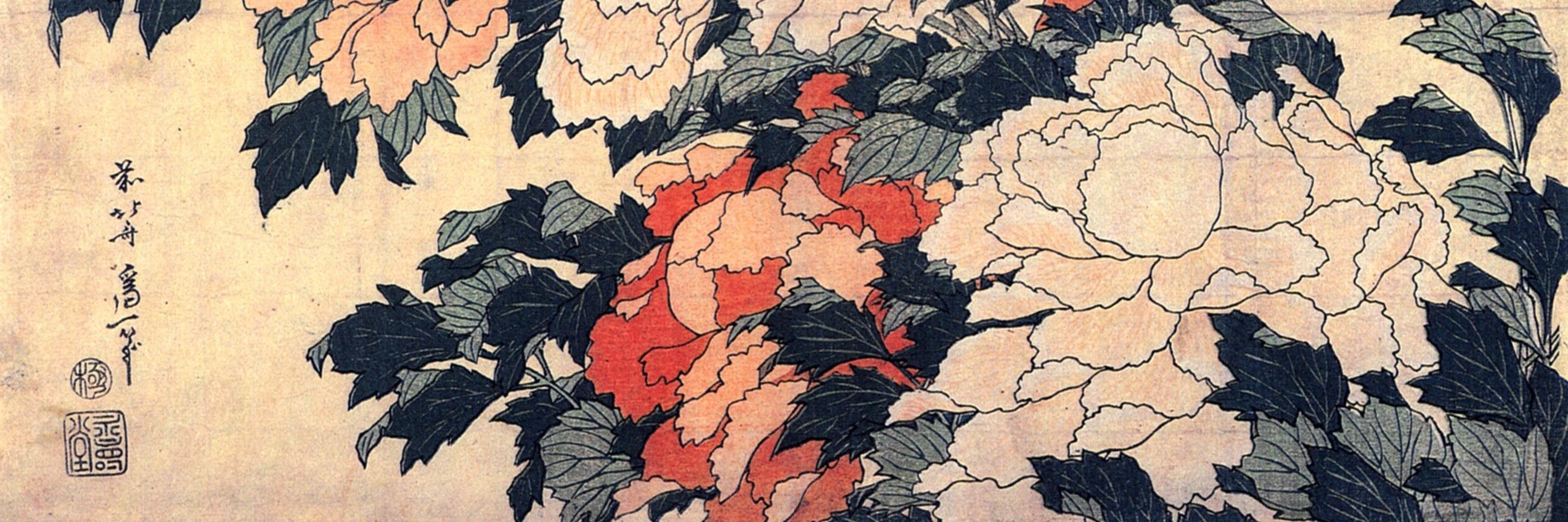 Hannes Probst banner