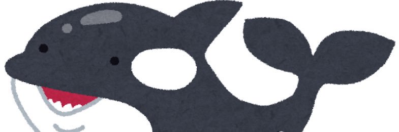 ☔️🐬miyamasa🌟🚀 banner