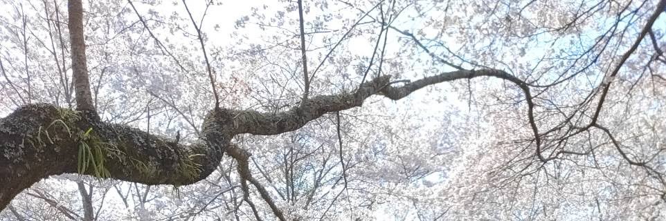 ue_423's profile banner image