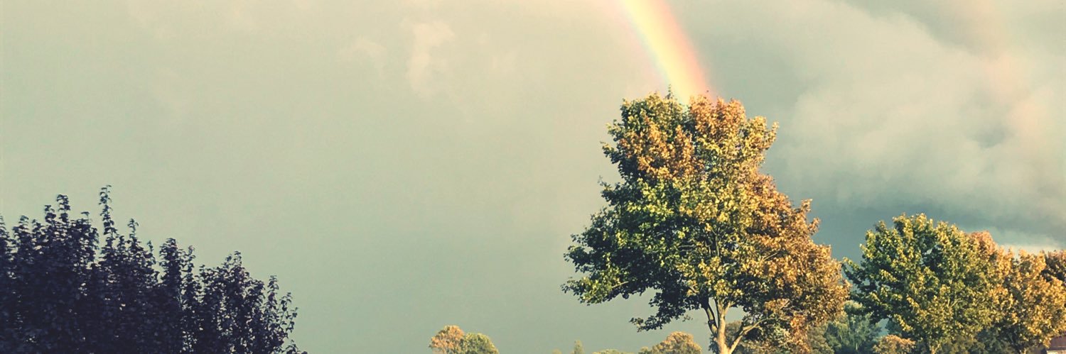 piepenbrook's profile banner image