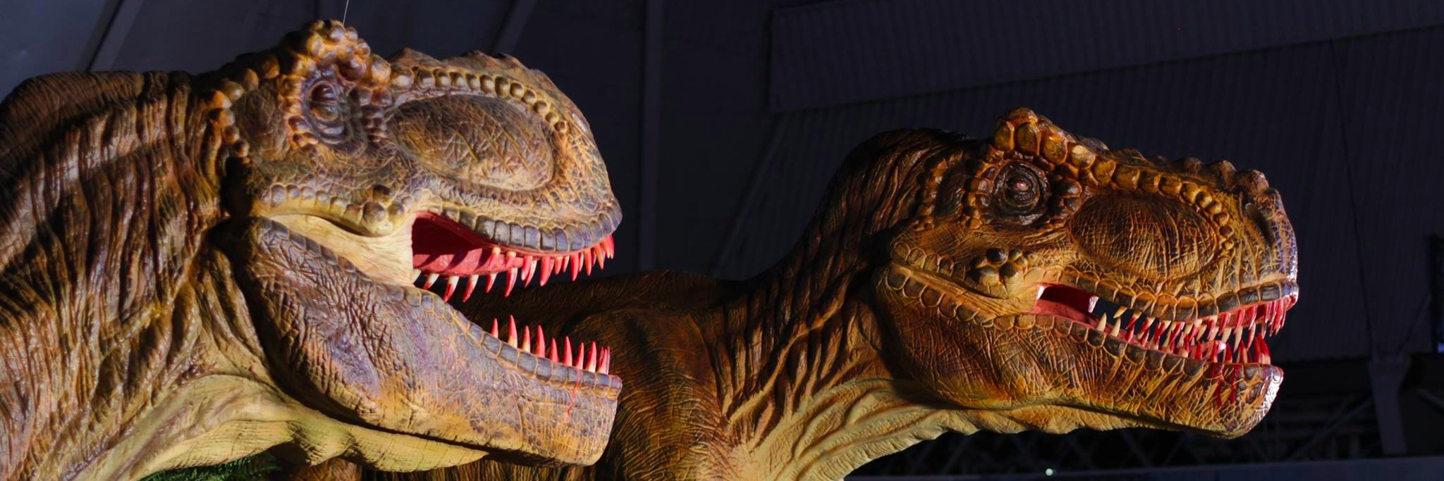 Jurassic_Quest's profile banner image
