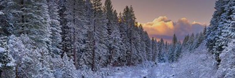 Cdnwatcher 🧡's banner