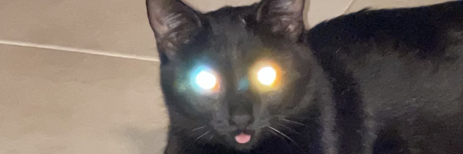 LarryAnJu's profile banner image