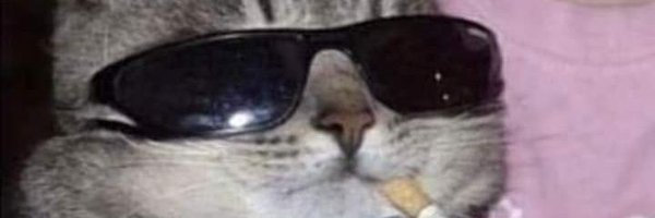 Loc4l_Terr0rist Profile Banner