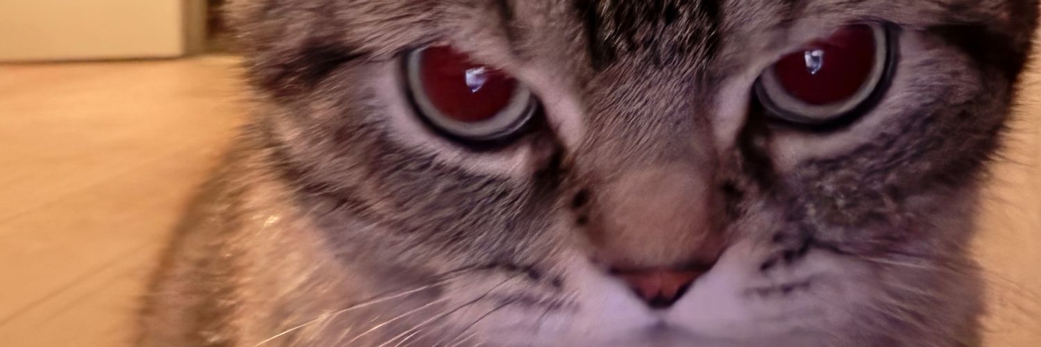 aetahtali's profile banner image