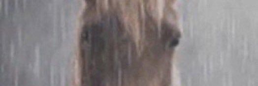 kimkovisk's profile banner image