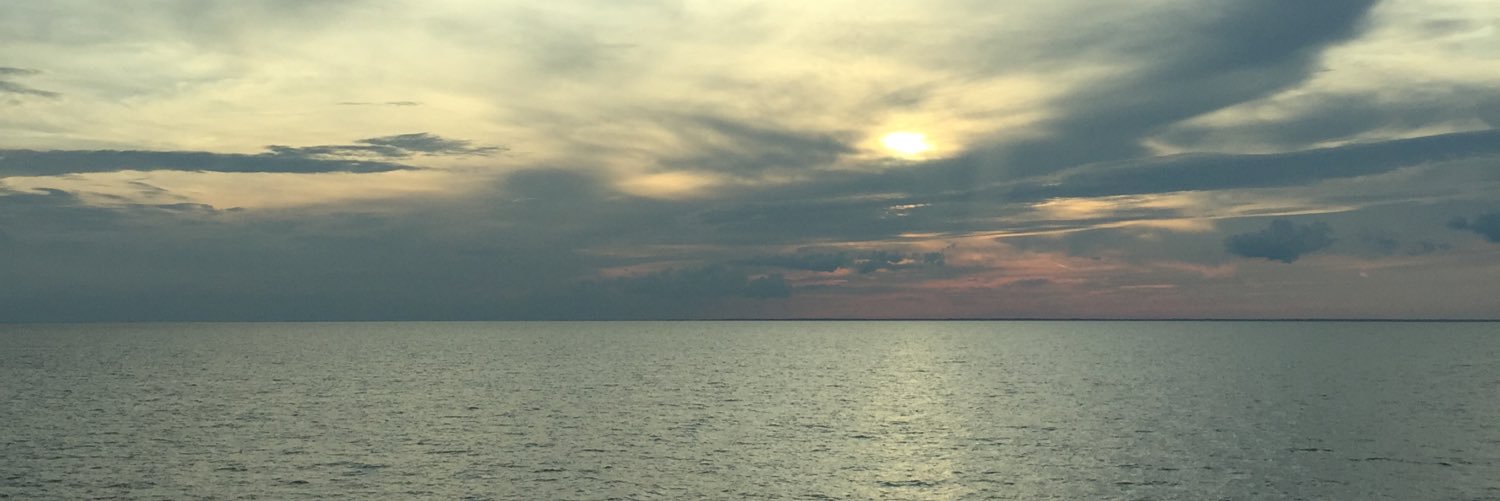 PickOverlord's profile banner image