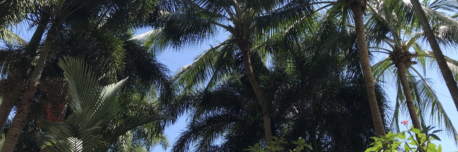 almudainainc's profile banner image