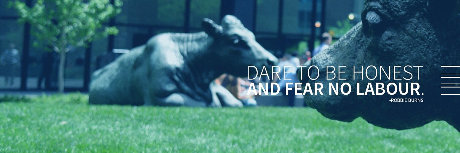 Christine Saunders banner