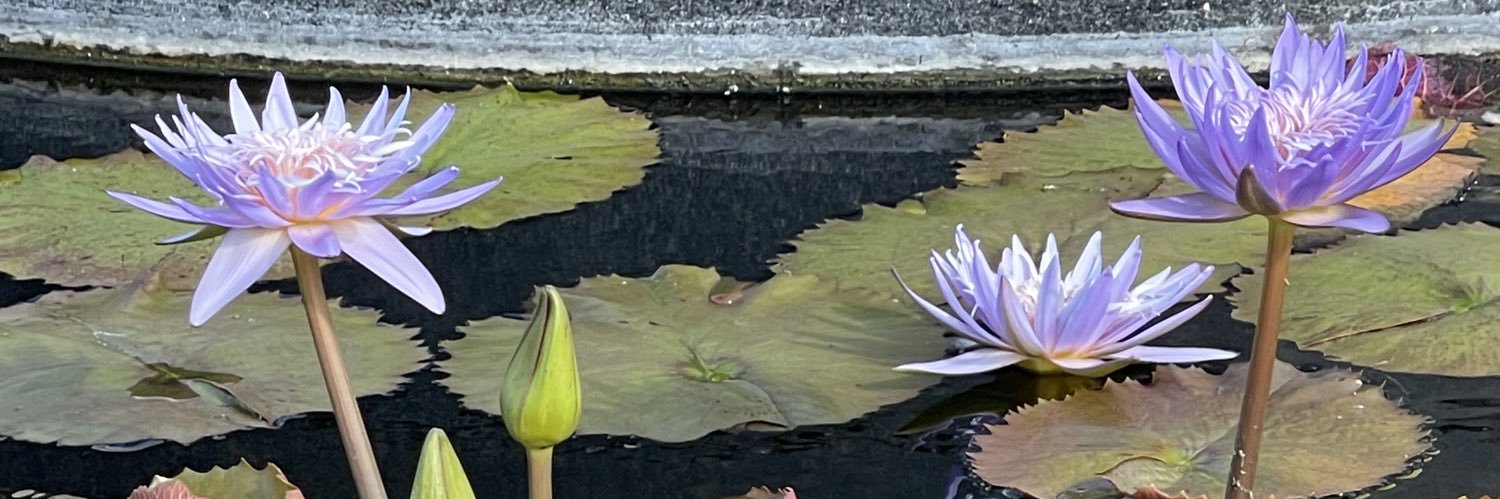 Anton de Rothschild banner