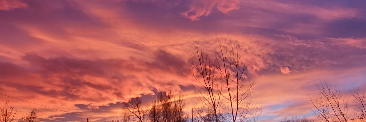 mandipandi303's profile banner image