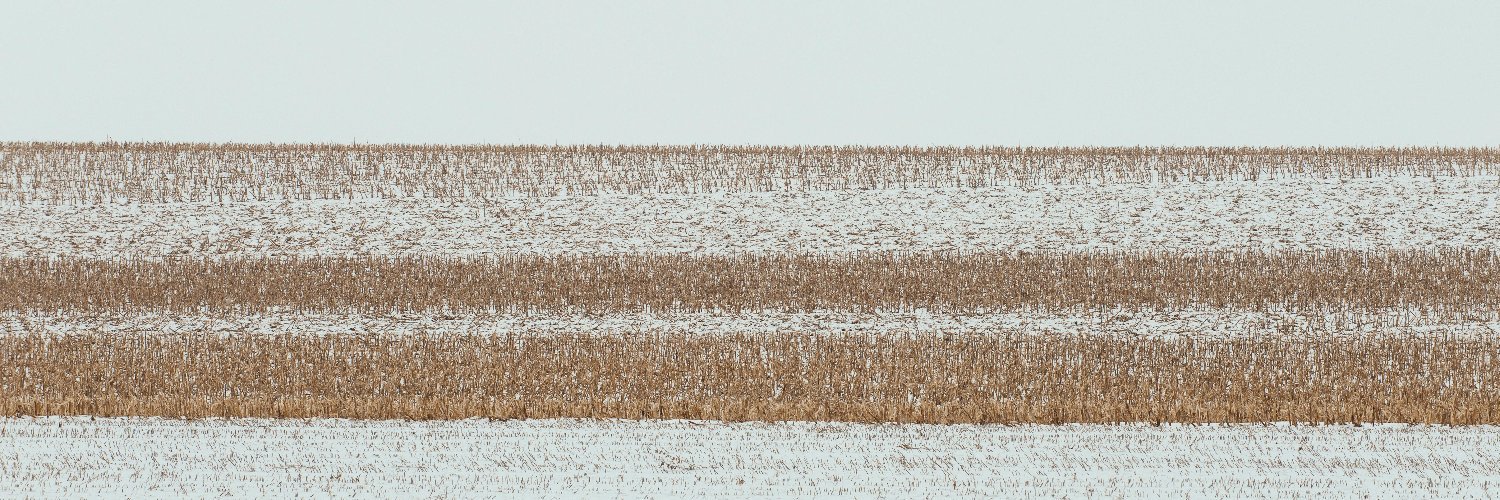 i tried ⋆ 🇻🇦 banner