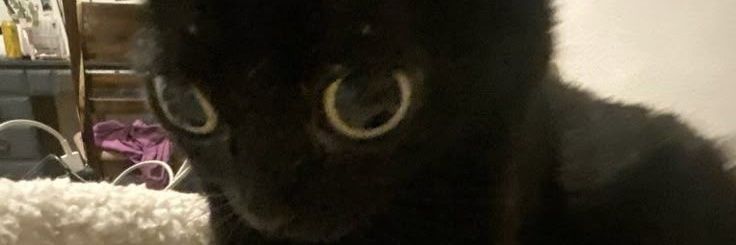 JUSTICE FOR MEPHILES banner