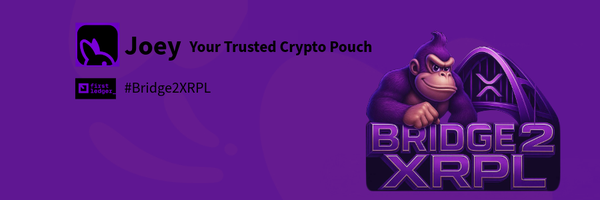 bridge2xrpl Profile Banner