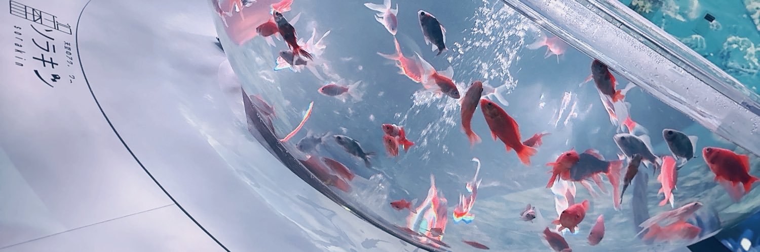 naruse11211's profile banner image