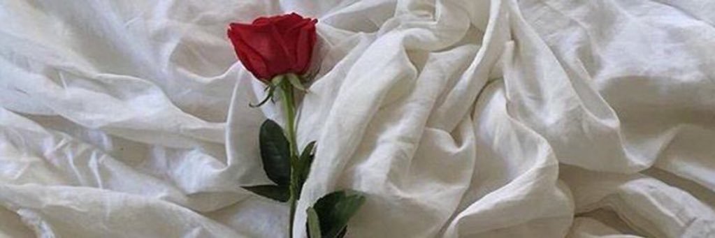 nnnnon419's profile banner image