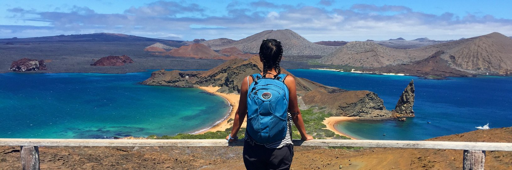 Ellenore Scott banner