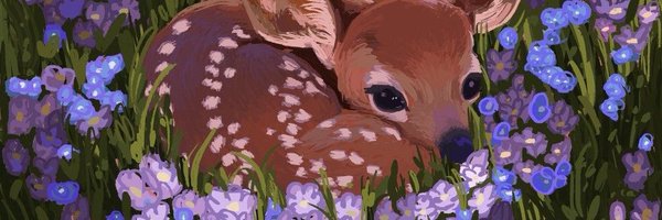 sweetdoesucc Profile Banner