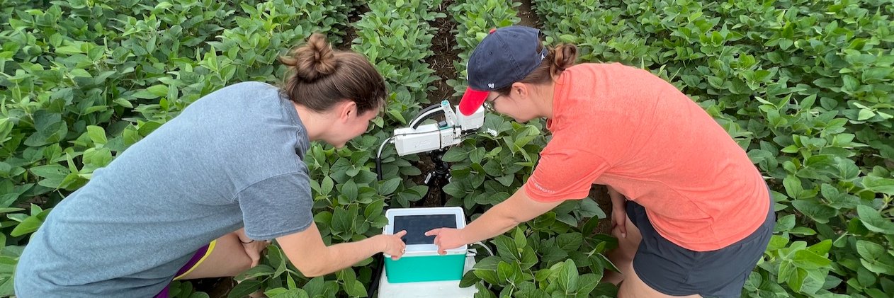 MSU-PSM Department banner