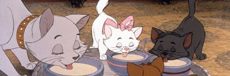 nnsarinra's profile banner image