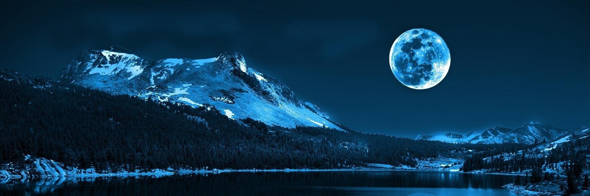 Cactusvid's profile banner image