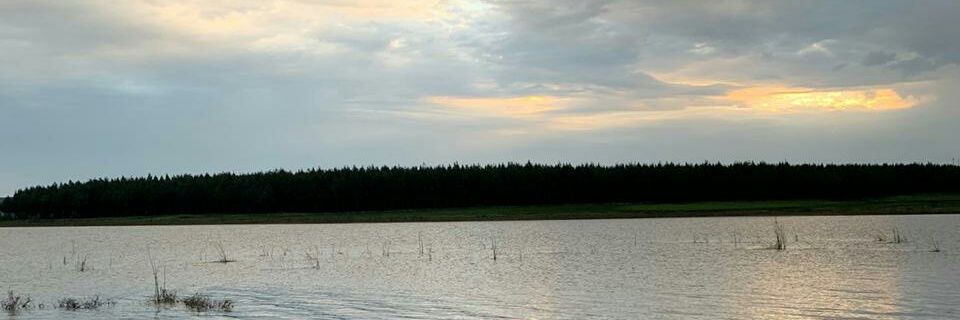 SanehGama's profile banner image