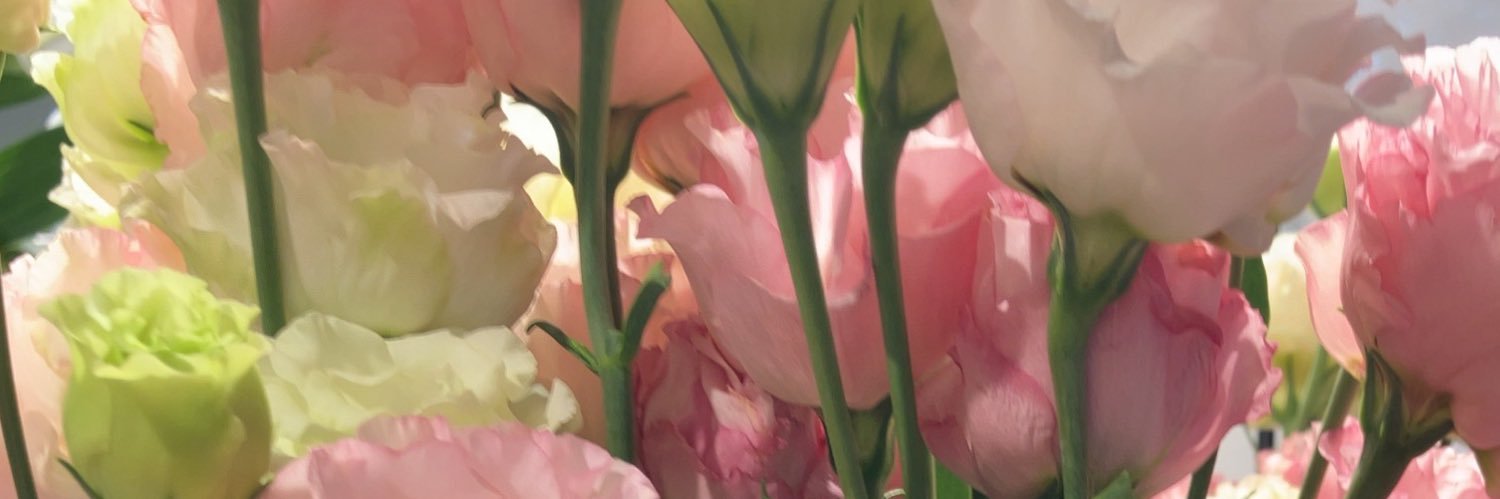 春月えちる banner