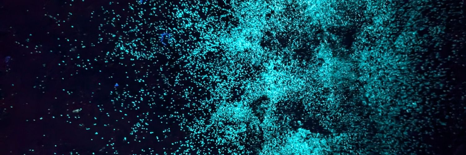 jfy2_x's profile banner image