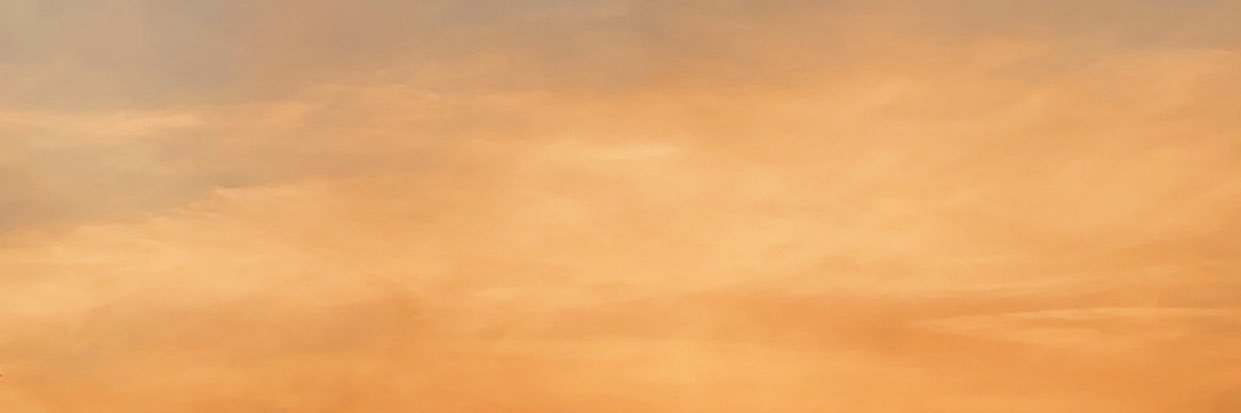 siloskog's profile banner image
