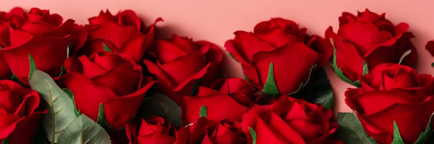 mila's banner