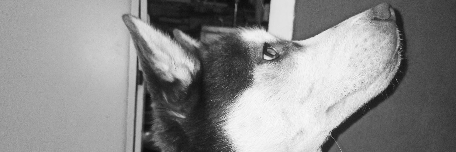 Turuko15's profile banner image