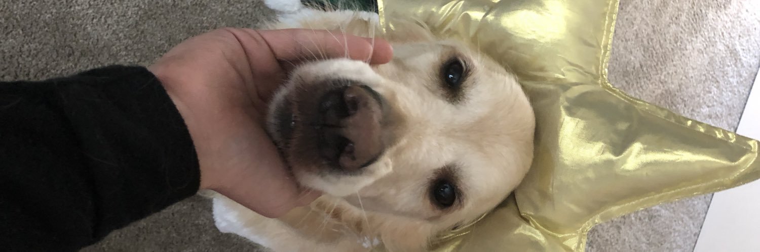 greencarter0's profile banner image