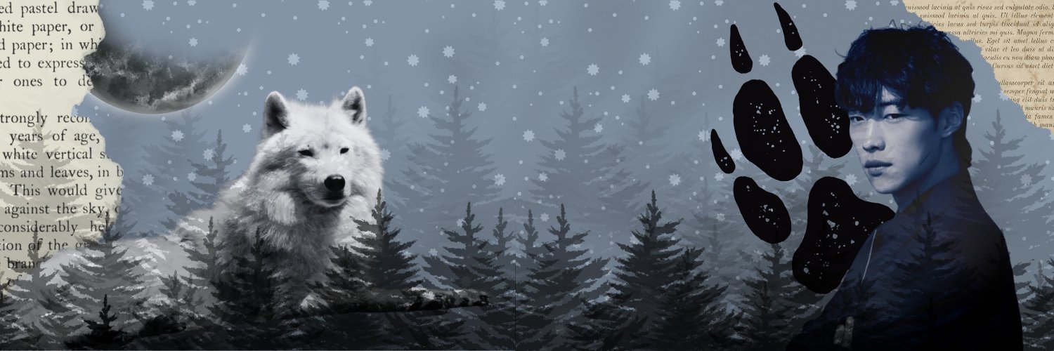 dokkaebidream's profile banner image