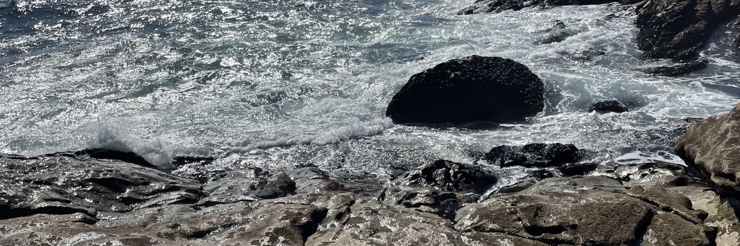 𝕱 banner