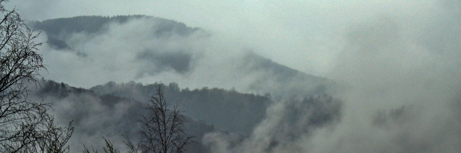Mica Românie banner