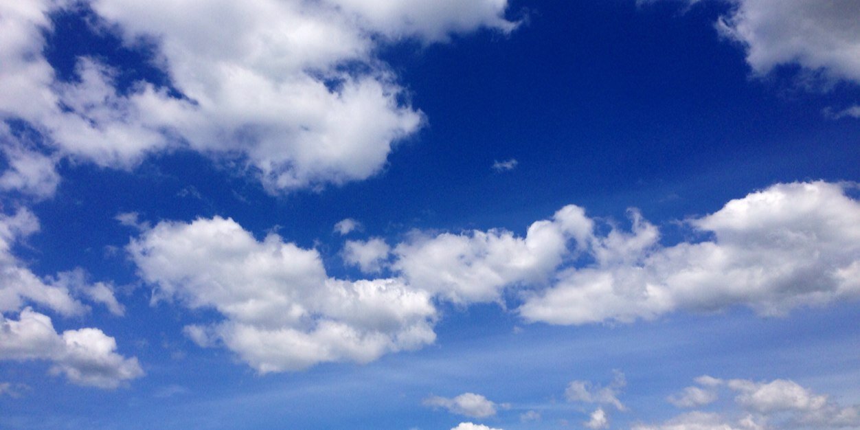 Vanessa Clements banner