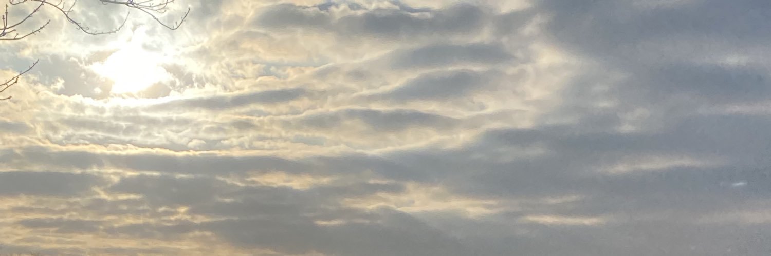 MyOwnTigerEyes's profile banner image