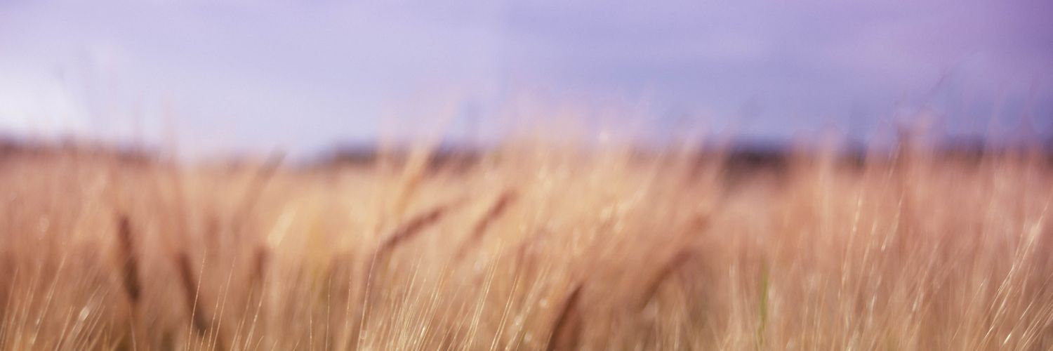 TSwarley's profile banner image