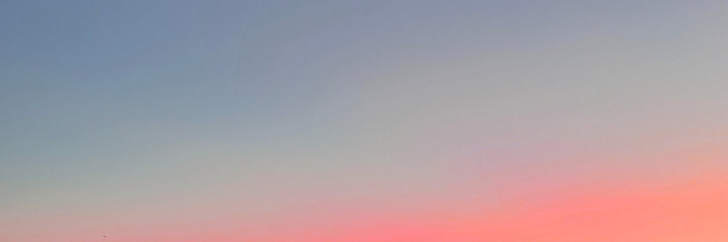 Alertes Racisme banner