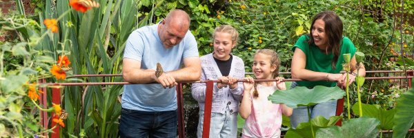 TropButterfly Profile Banner