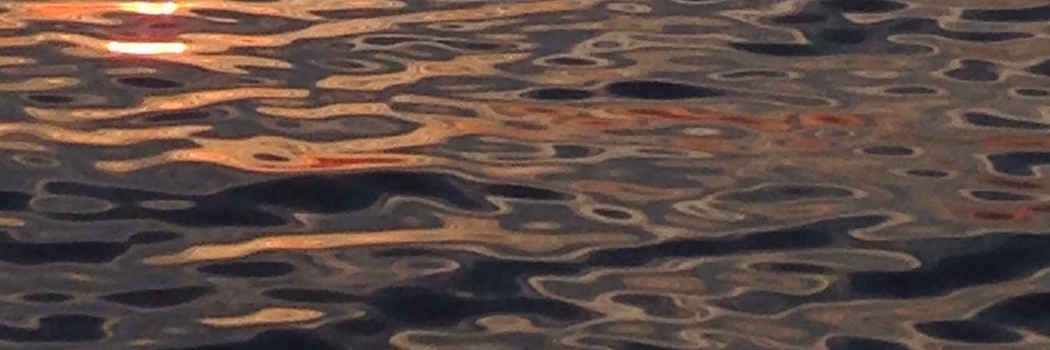 SoltanPepper's profile banner image