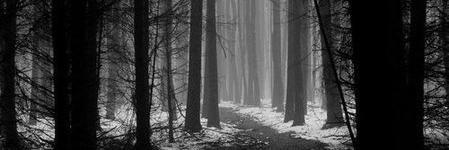 LyubaProkosheva's profile banner image