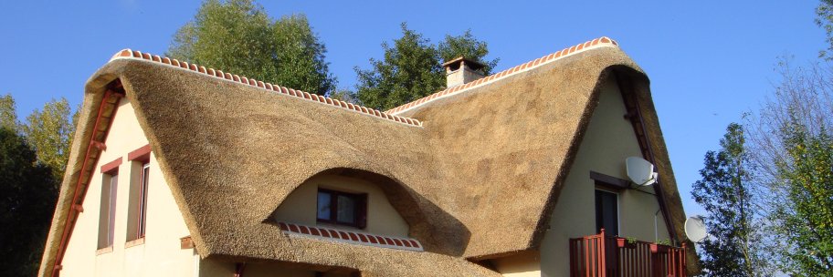 Master Thatchers Ltd banner